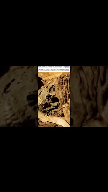 The term 'Mummy' banned by UK museums as dehumanizing.