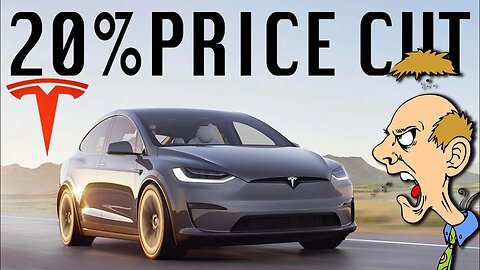 Massive 20% Tesla Price Cut | People Are Pissed | Dude With A Pipe