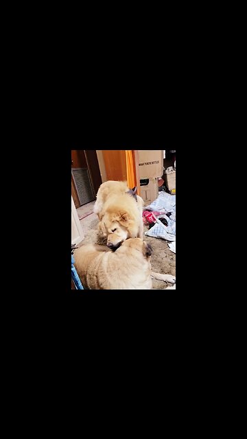 loving on the FRE FRE