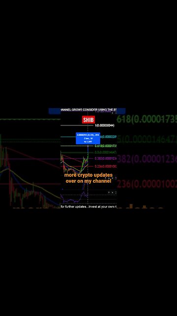 Shiba to the MOON!?💪🚀👀