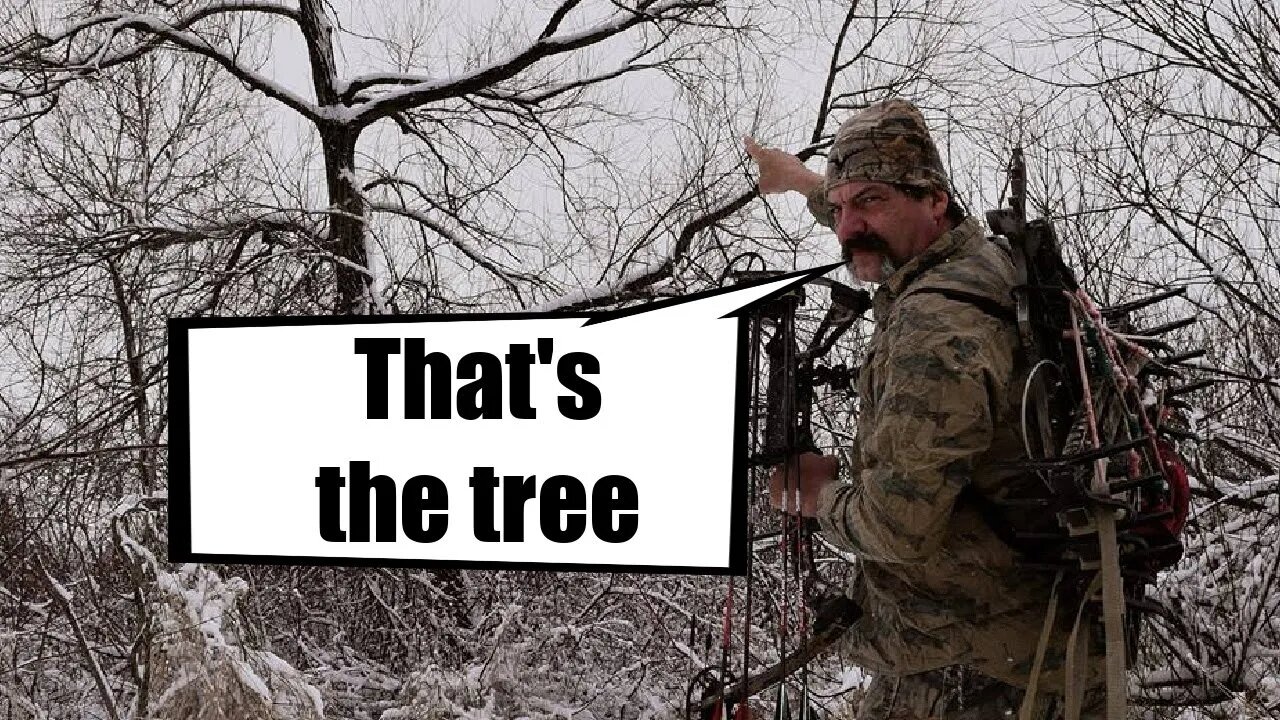 Picking the right tree when scouting