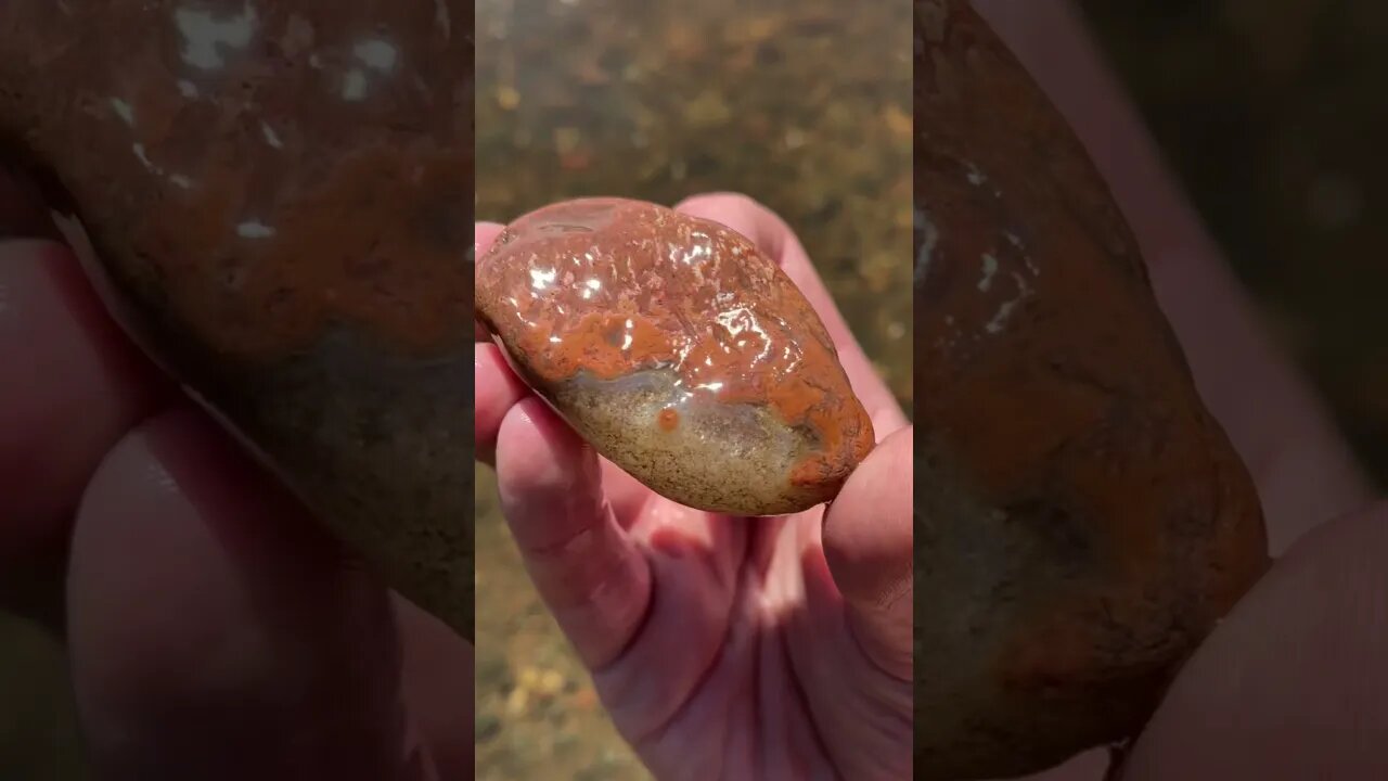 Finding a BEAUTIFUL Lake Superior Agate! #shorts