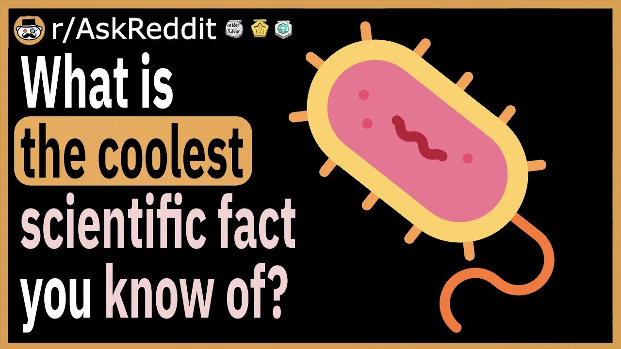 What is the coolest scientific fact you know of?
