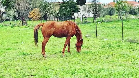 Γιάννης Πλούταρχος & Στέλιος Διονυσίου - Ορεστιάδα (1999)