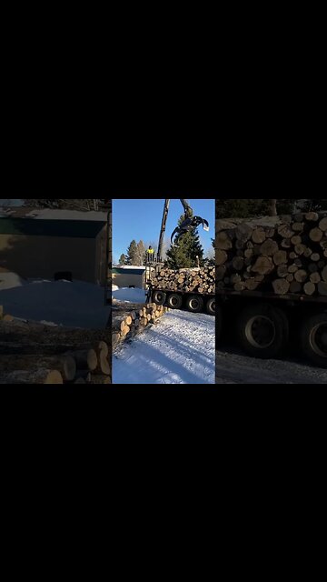 load of fire wood logs