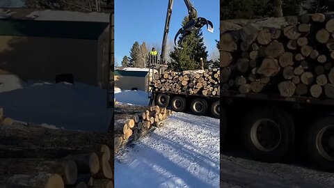 load of fire wood logs