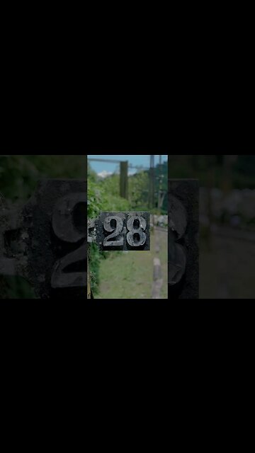 VAI ARRISCAR? #shorts #fujifilm #camera #2023