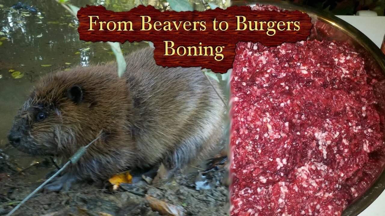 Beavers to Burgers - How to Butcher a Beaver