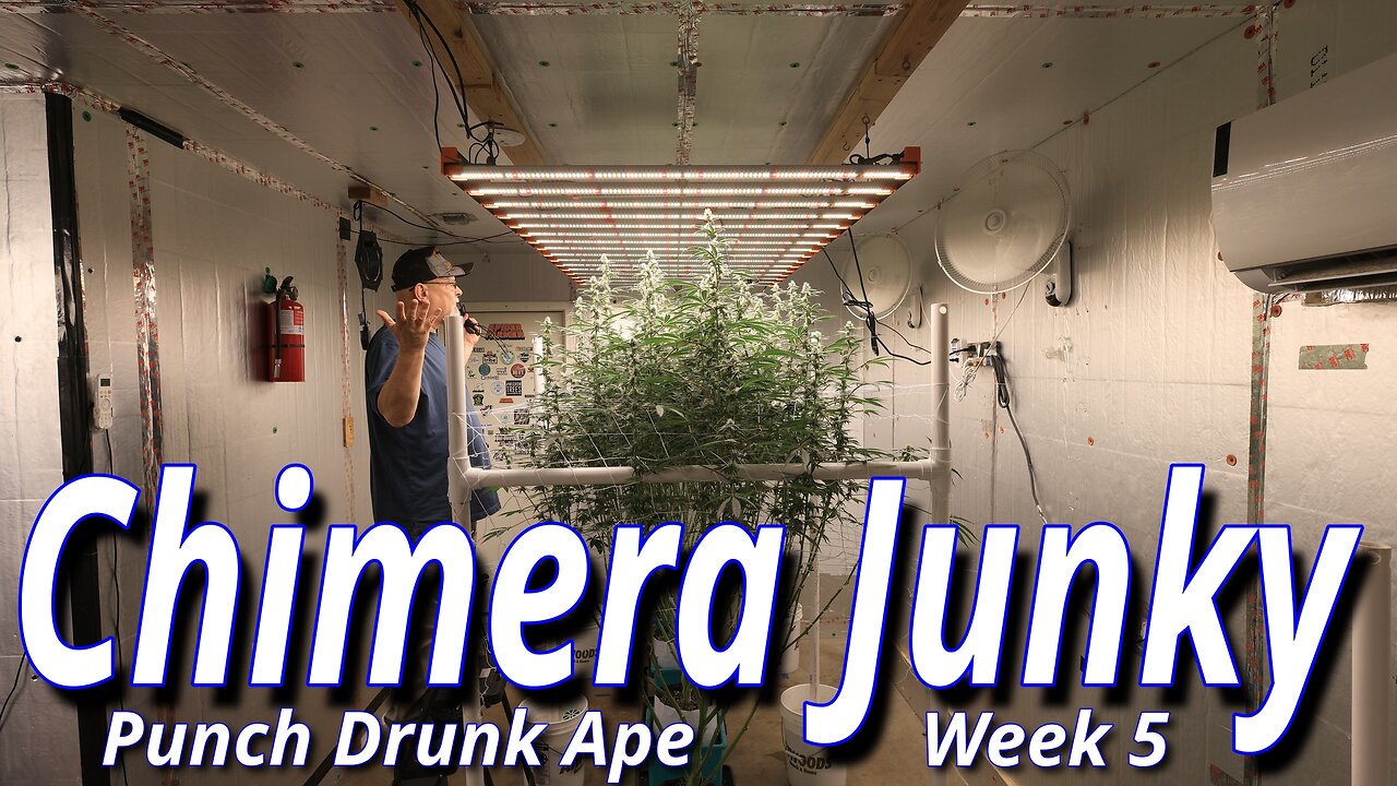 Chimera Junky Week 5: Spider Farmer SE7000 Full Garden Update