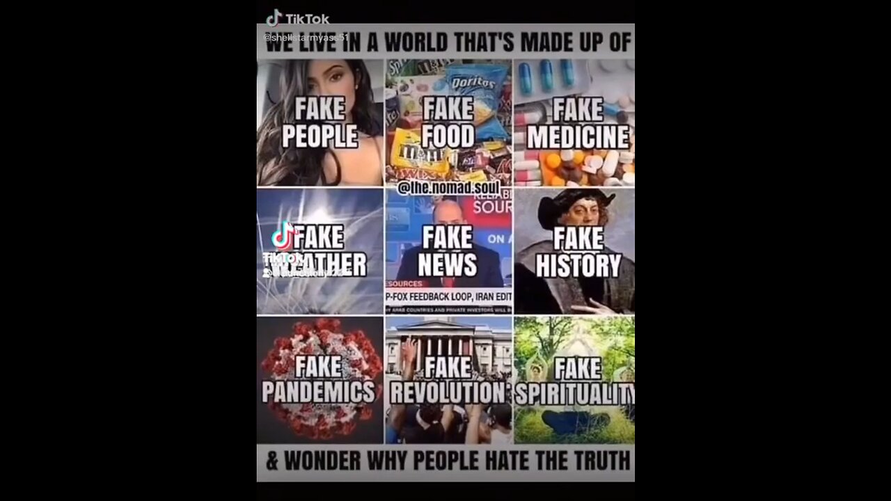 We Live In A Fake World