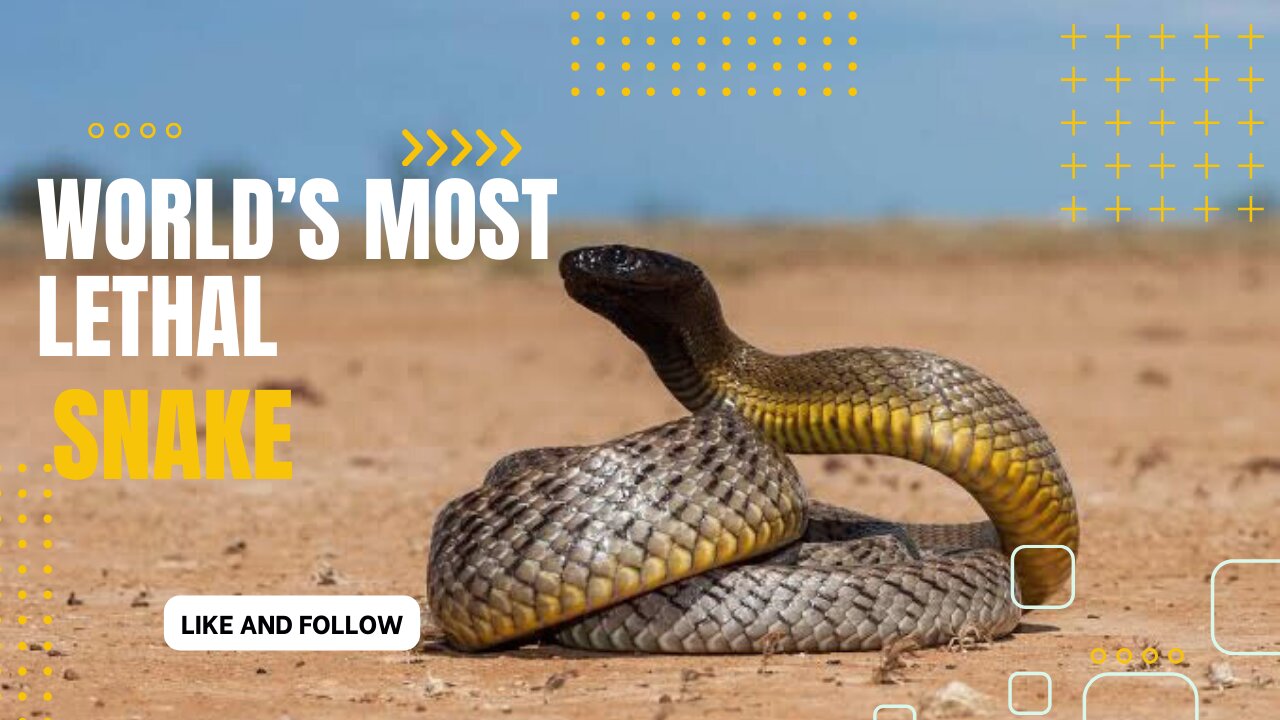 Why This Is The Deadliest Venom In The World