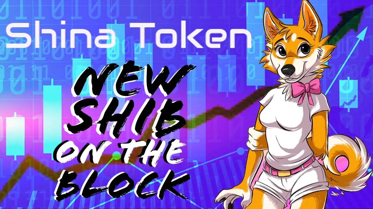 is SHINA TOKEN a SHIBA INU killer? #WHYSHINA #SHI #SHIB #Shibarium #SHINA #SHINATOKEN