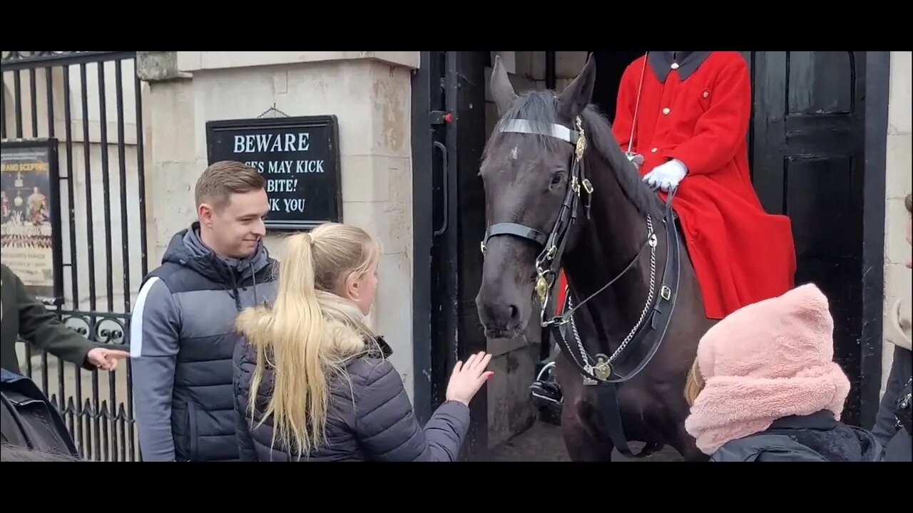 Never put your fingers in a horse's mouth #horseguardsparade