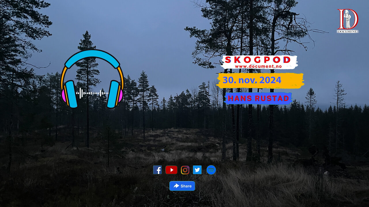 Skogpod 30. november 2024