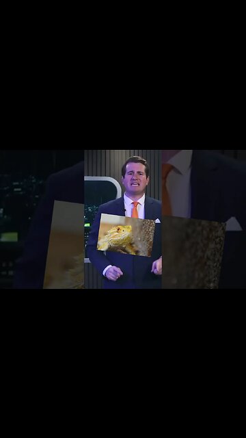 THEY'RE ALL LIZARD PEOPLE | #Shorts