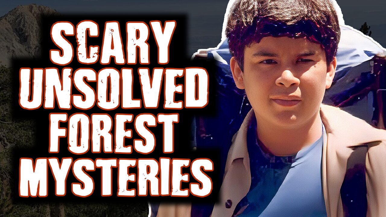 Unsolved & Terrifying: 5 Dark Forest Mysteries