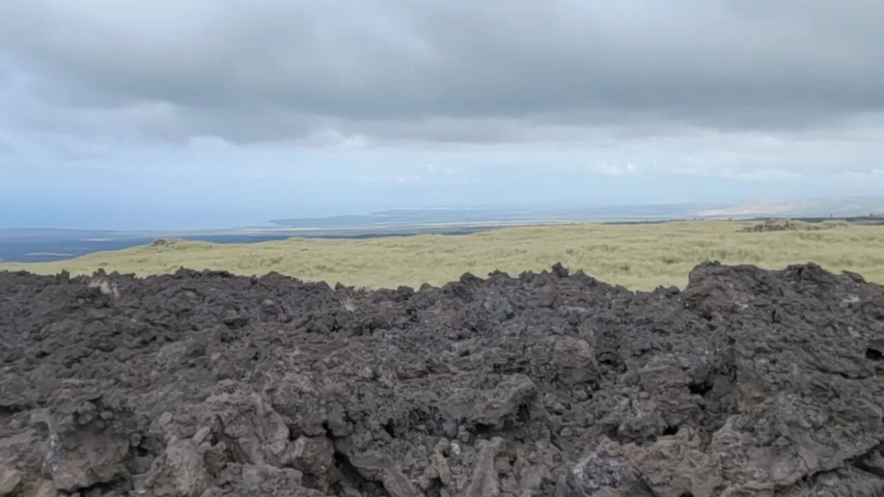 LIVE In Hawaii