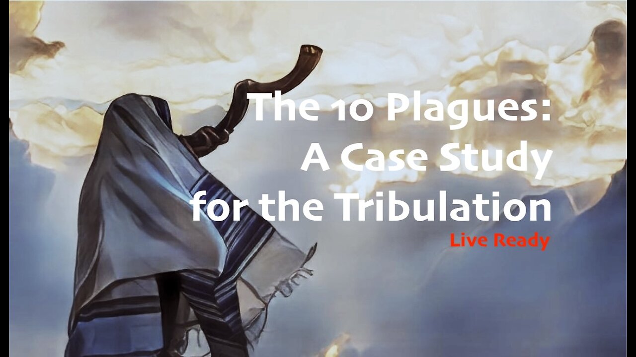 The 10 Plagues: A Case Study for the Tribulation