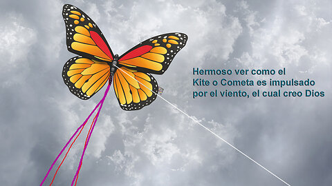 Flying Kite Volando Cometa