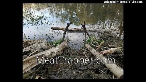 MeatTrapper Radio 248