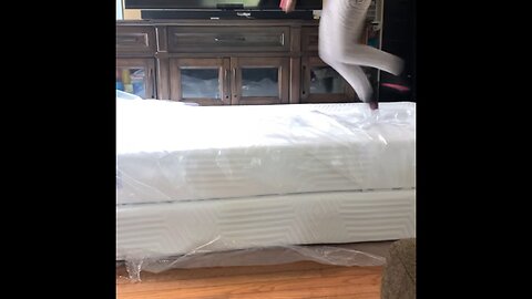 Bed in a box