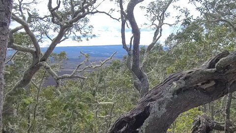 LIVE in Hawaii - Pu'u Huluhulu Cinder Cone Hike