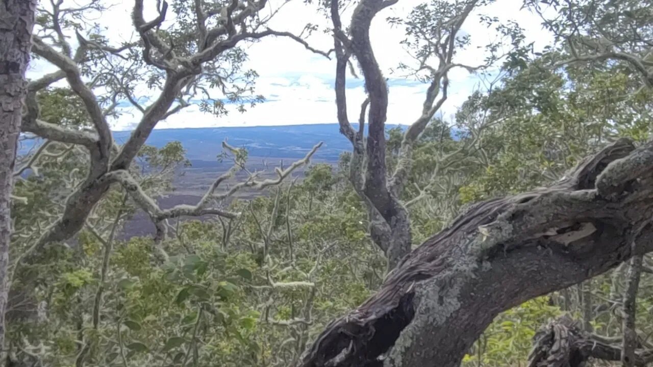 LIVE in Hawaii - Pu'u Huluhulu Cinder Cone Hike