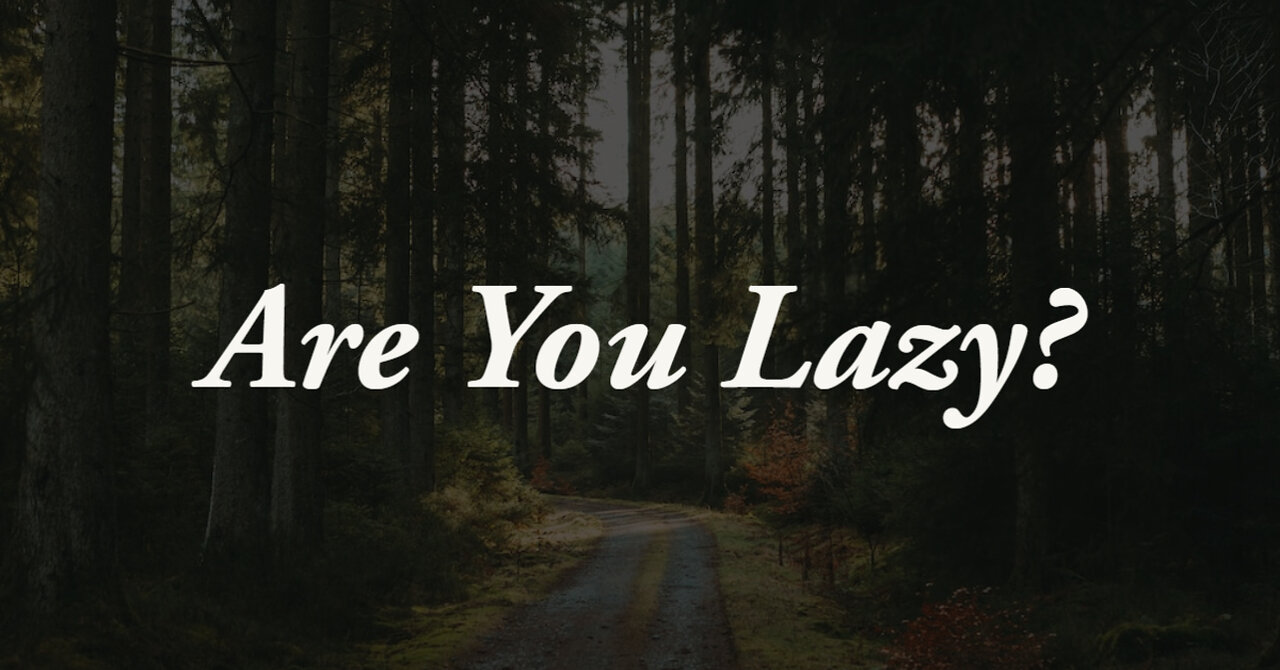 Are You Lazy