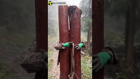Meanwhile In China