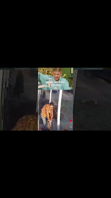 Crazy Raccoon Attacks Woman | #Shorts