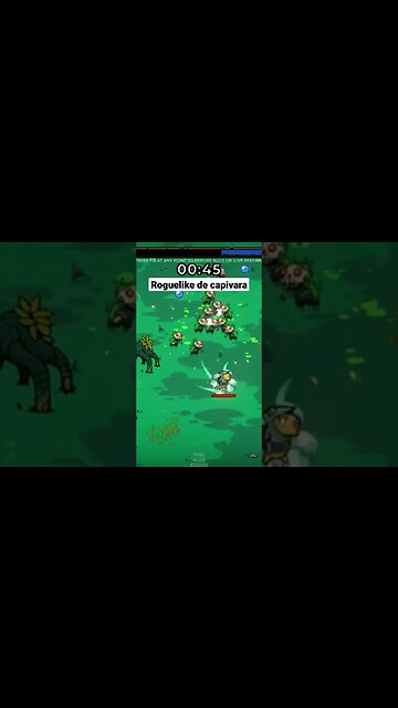 Roguelike de capivara #extremelypowerfulcapybaras #vampiresurvivor #roguelike #scarlettower #shorts