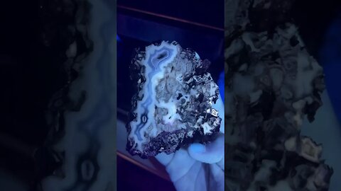 Agatized coral under ULTRAVIOLET light!