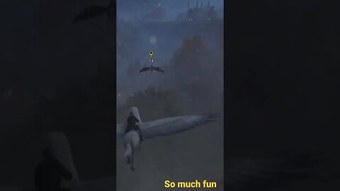 Flying a hippogriff in Hogwarts Legacy is so much fun!!