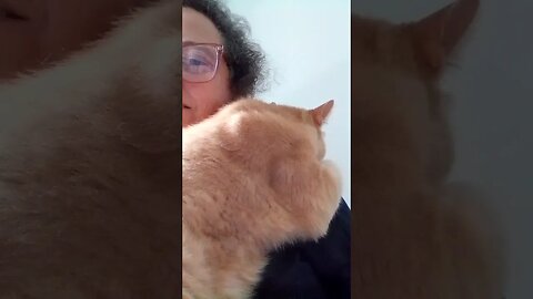 cat helps me work