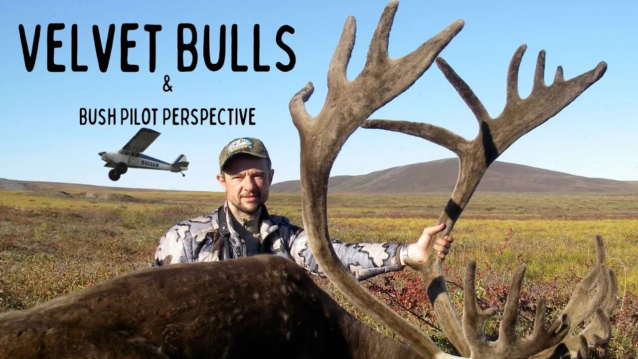 "Velvet Bulls And Bush Pilot's Perspective" Ep. #5 Season 5, Modern Day Mountain Man Alaska Hunting