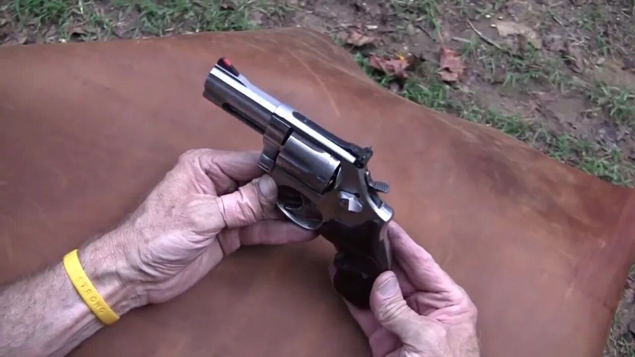 Smith & Wesson 686 Plus Close-Up