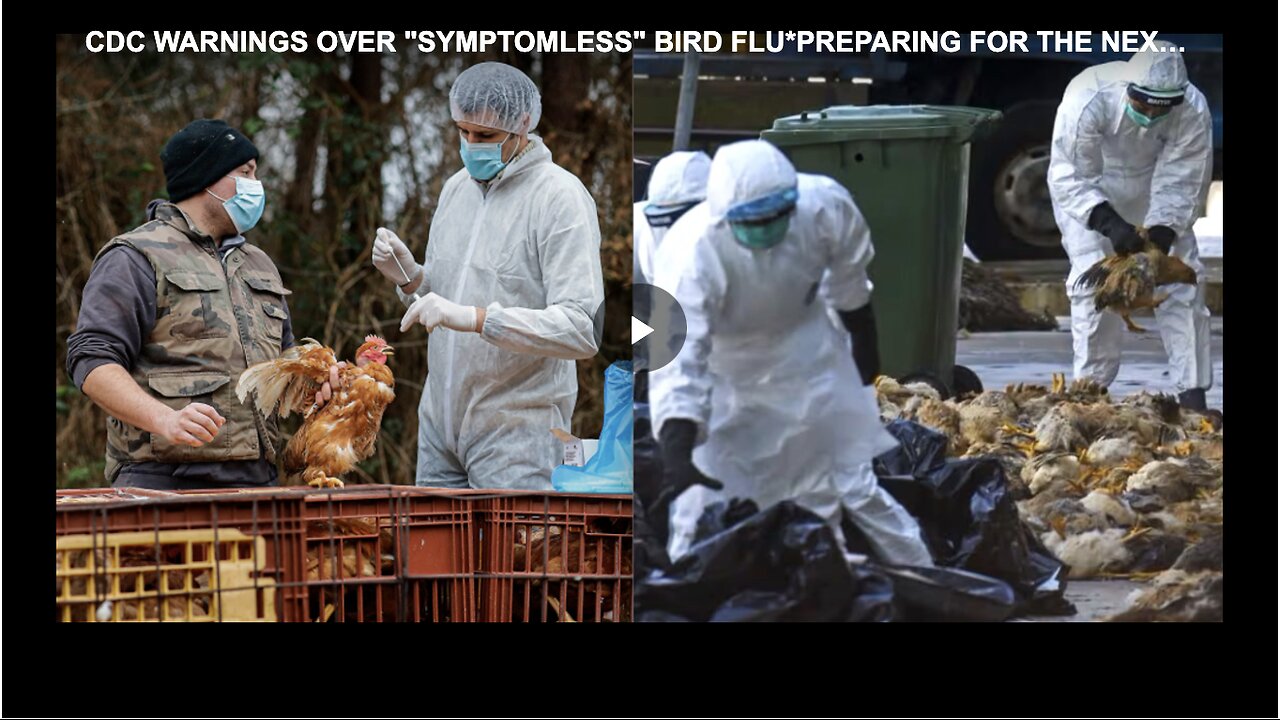 CDC WARNINGS OVER "SYMPTOMLESS" BIRD FLU*PREPARING FOR THE NEXT PANDEMIC?*