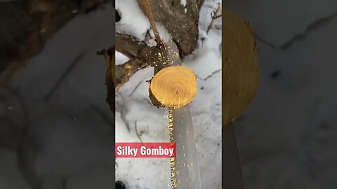 Silky Gomboy possibly the best folding saw around?