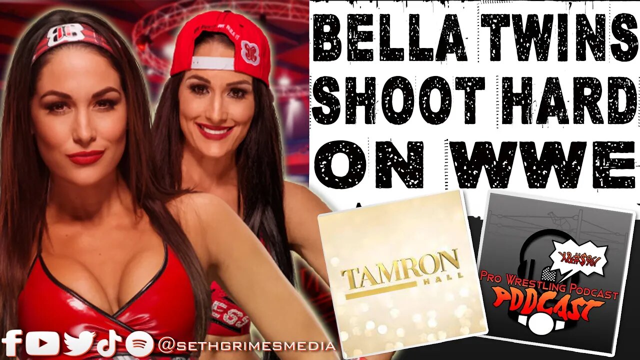 Bella Twins SHOOT on WWE over Women's Representation | Clip from Pro Wrestling Podcast Podcast #wwe