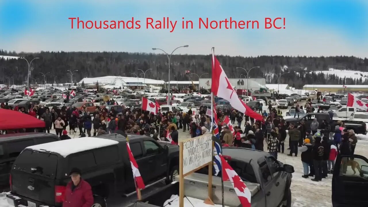 Gridlessness Goes to Town - Freedom Rally Jan 29 2022
