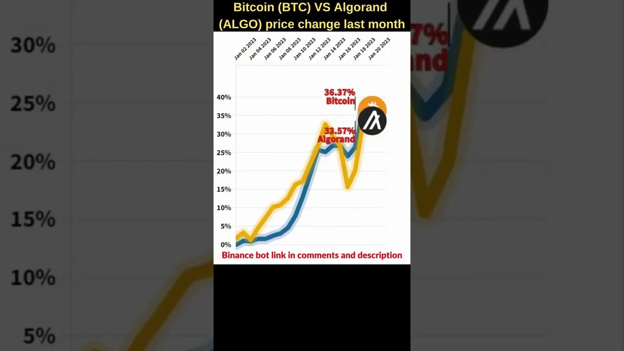 Bitcoin VS Algorand crypto 🔥 Bitcoin price 🔥 Algorand news 🔥 Bitcoin news 🔥 Btc price Algorand price