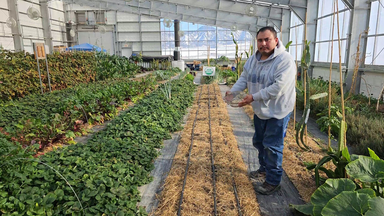 Nutrient Farm Scenery #44 - Seeding Organic Beets