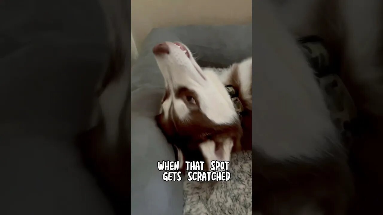 That’s the spot