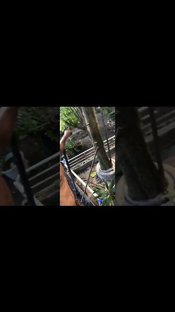 Intruders tried to come onto the land