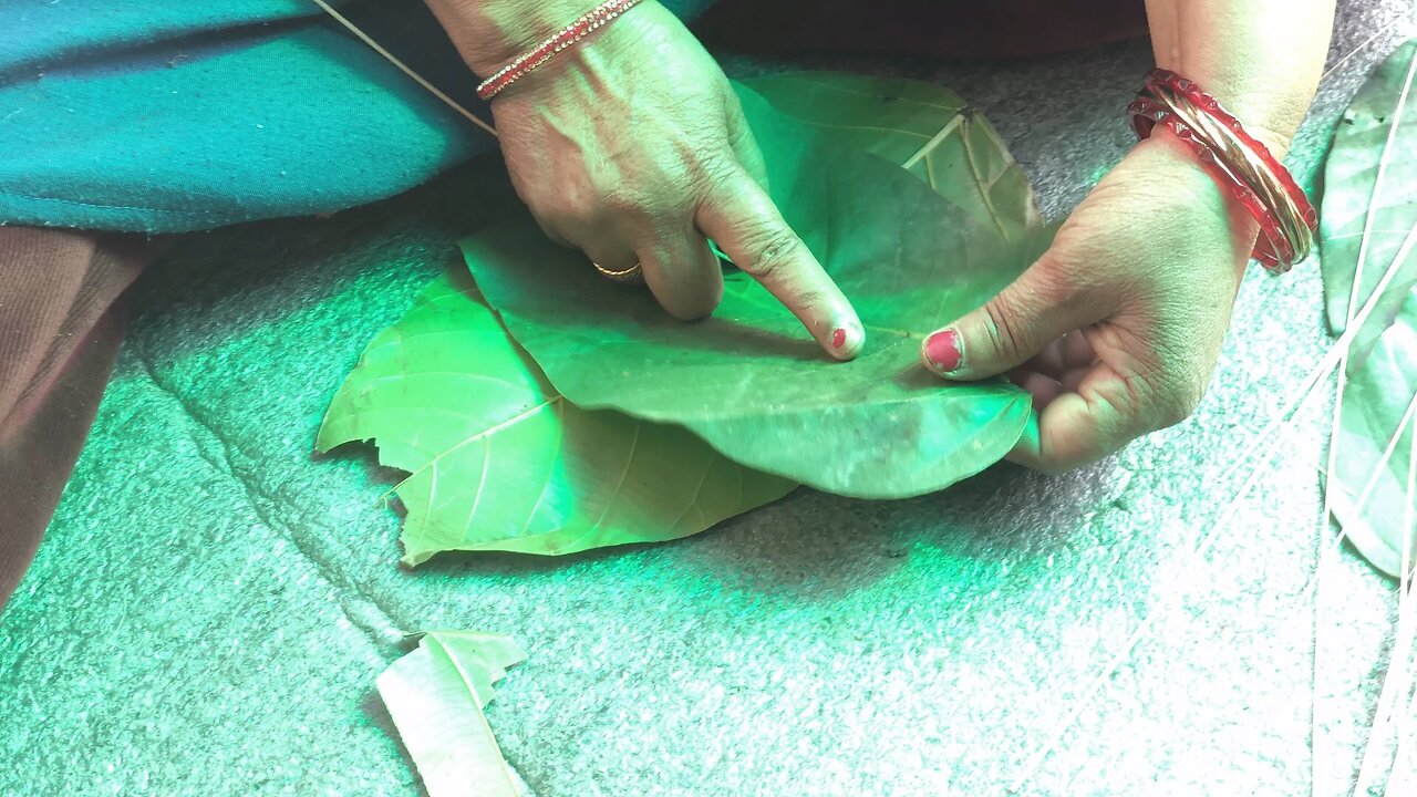 Making a sal leaf plate