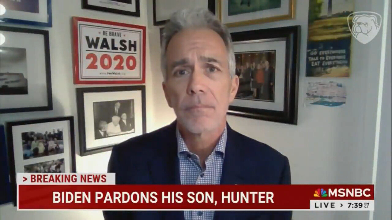 Joe Walsh Decrying The Hunter Biden Pardon On MSNBC… Being Met With "A Father's Love" Is PURE CINEMA