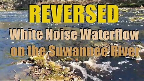 REVERSED White Noise Waterflow on the Suwannee River