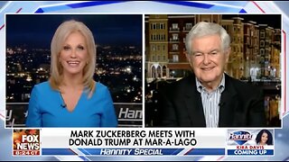 Newt Gingrich: Democrats spent over a billion trying to beat Trump and he is still standing