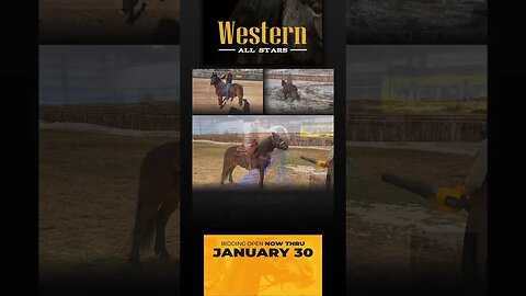 ⭐️𝐖𝐞𝐬𝐭𝐞𝐫𝐧 ALL STARS - 𝐘𝐄𝐋𝐋𝐎𝐖𝐒𝐓𝐎𝐍𝐄 𝐄𝐃𝐈𝐓𝐈𝐎𝐍⭐ Happening thru MONDAY | JANUARY 30 at Horsebid.com!