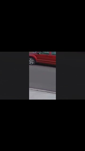 Tiny Yorkie Fights Back to Vicious Coyote to Protect Its Owner